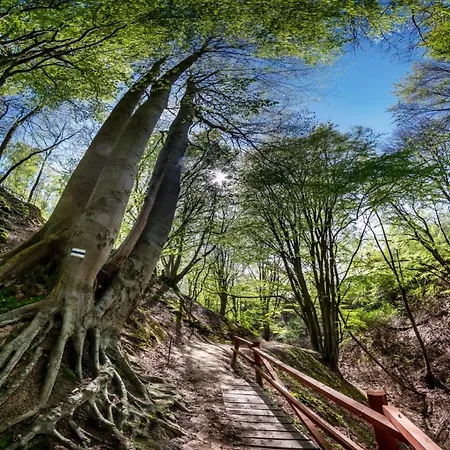 Polnocny * Jastrzębia Góra